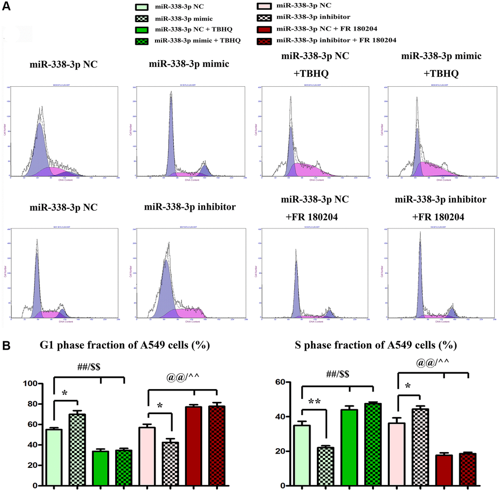 Overexpression or suppression of miR-338-3p inhibits or increases the proliferation of LUAD A549 cells by regulating ERK1/2 phosphorylation. (A, B) **P ##P $$P 