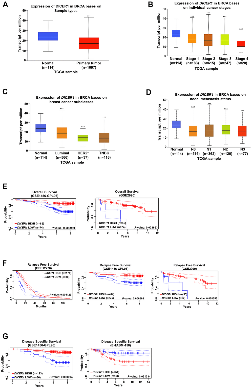Analysis of Dicer expression in breast cancer. (A) Analysis of Dicer expression in the breast cancer tissue and normal breast tissue by using TCGA database generated from UALCAN (http://ualcan.path.uab.edu/index.html). Dicer expression was negatively correlated with different (B) breast cancer stages, (C) breast cancer subtypes, and (D) nodal metastasis status. The Kaplan–Meier plot shows the (E) overall survival curves, (F) relapse-free survival curves, and (G) disease-specific survival curves of patients with breast cancer with different Dicer expression levels. Data are presented as the mean ± standard error mean of three independent experiments. ***P 