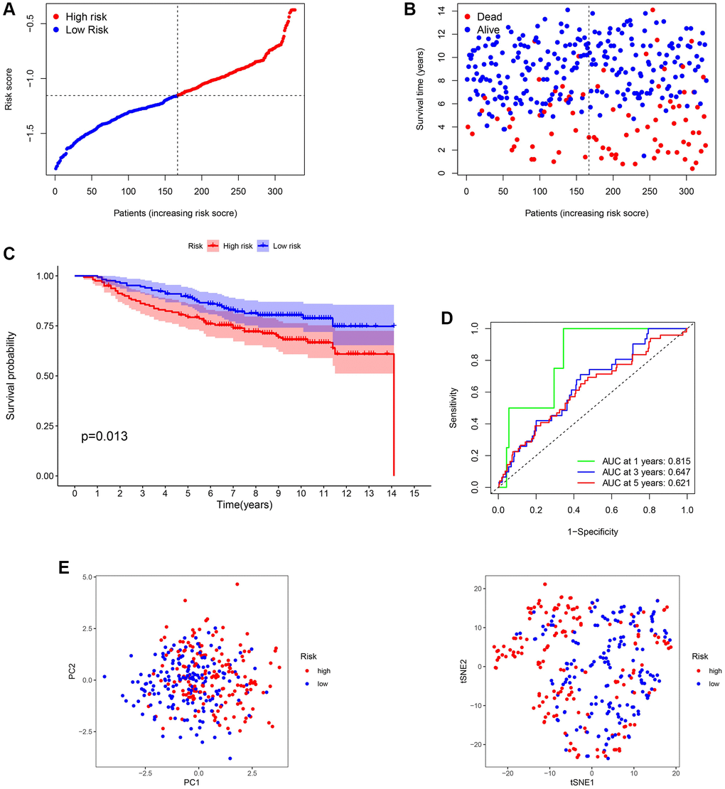 Validation of the 13-gene signature in GSE20685. (A and B) Survival time and status of each breast cancer (BC) sample based on the risk score. (C) Survival analysis between two risk subgroups. (D) Receiver operating characteristic (ROC) curve of the 13-gene signature. (E) Principal component analysis (PCA) of the 13-gene signature.