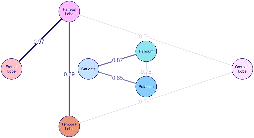 Genetic correlation of R2* among basal ganglia and cortex. The genetic correlation coefficient rg is plotted on the lines and also represented by the thickness of the lines between the brain regions.