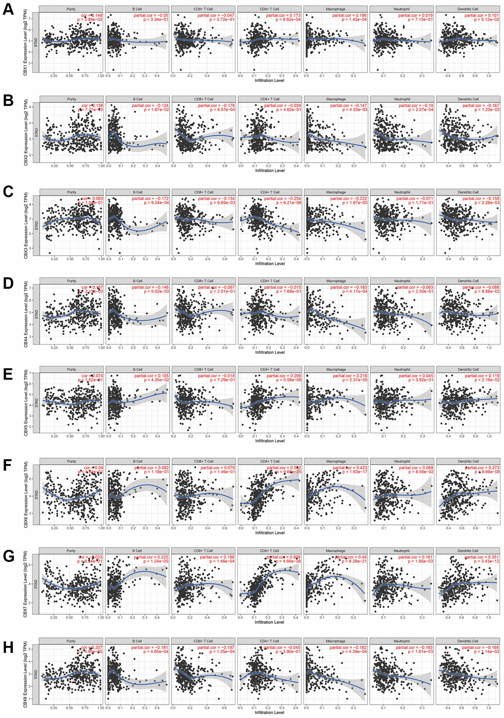 The correlation between CBXs and immune cell infiltration was analyzed by the TIMER database. (A) CBX1; (B) CBX2; (C) CBX3; (D) CBX4; (E) CBX5; (F) CBX6; (G) CBX7; (H) CBX8.