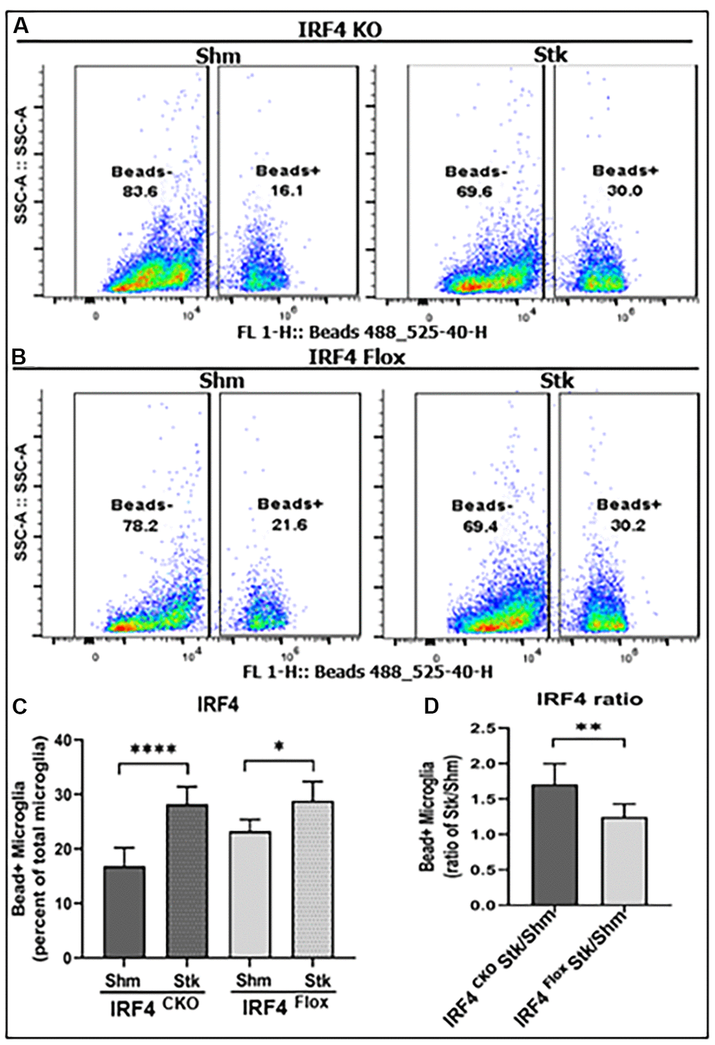 Microglial phagocytosis by flow cytometry performed on IRF4 CKO stroke and sham mice. Quantification data are presented as mean percentage of bead+ microglia. (A, B) Fluorescence intensity plots for IRF4 KO and flox microglia exposed to FITC fluorescent bioparticles. (C) Percentage fluorescence of phagocytosis in IRF4 CKO vs. flox sham and stroke microglia; and (D) comparative quantified data for the ratio of IRF4 CKO stk/shm vs. IRF4 flox stk/shm in (C). n = 4 to 5 per sham and 6 to 7 per stroke group; *P P P 