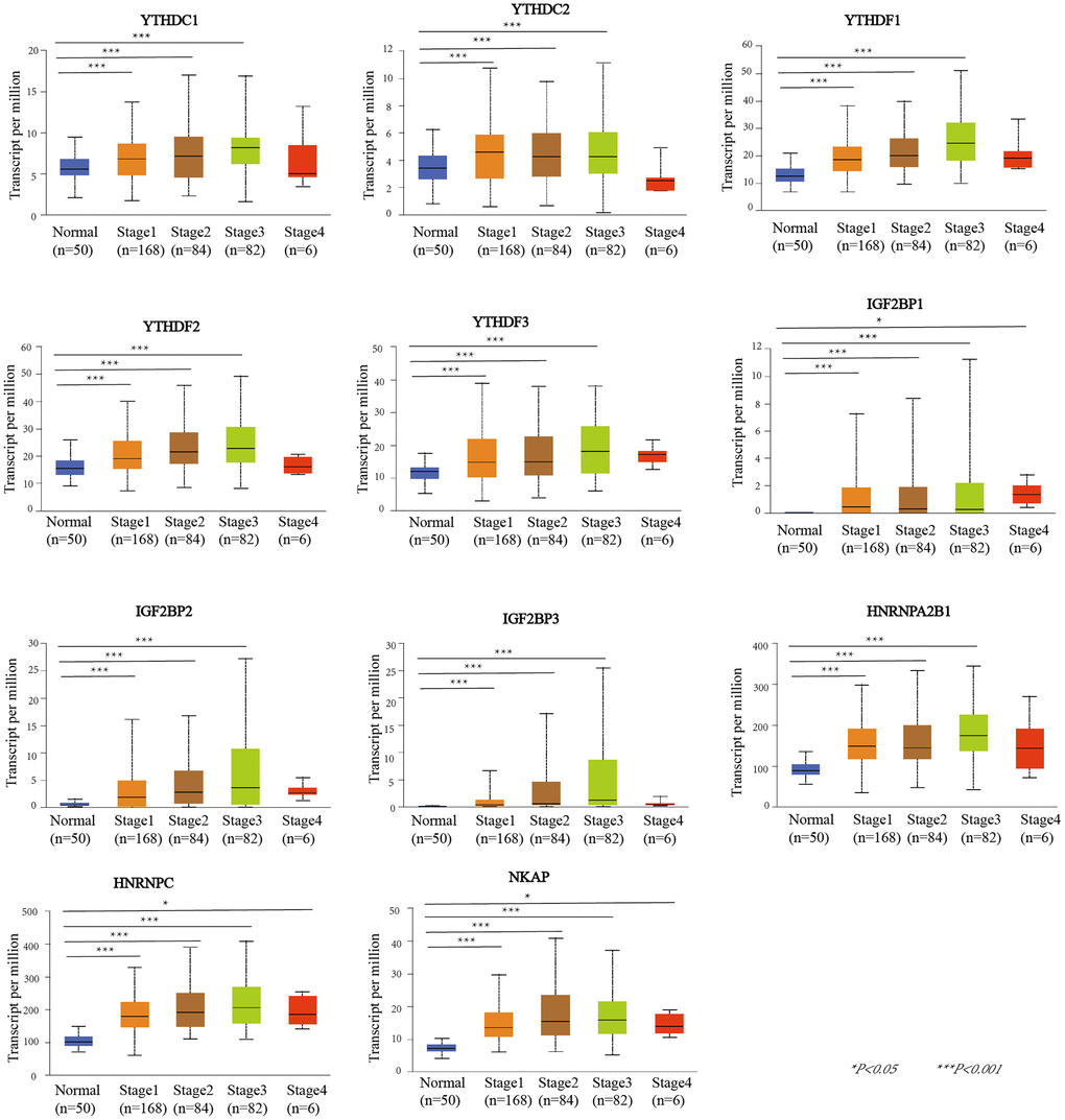 The relationship between m6A “readers” mRNA expression and pathological stage of HCC patients (UALCAN database). The mRNA expression level of YTHDC1, YTHDC2, YTHDF1, YTHDF2, YTHDF3, IGF2BP2, IGF2BP3, and HNRNPA2B1 were positively correlated with tumor stage (stage1, stage2, and stage3). The mRNA expression levels of IGF2BP1, HNRNPC and NKAP were positively correlated with tumor stage (stage1, stage2, stage3, and stage4).