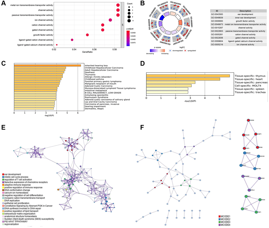 (A) Gene ontology (GO) analysis of the differential ARGs using R software. (B) Kyoto Encyclopedia of Genes and Genomes (KEGG) analysis of the differential ARGs using R software. (C) Disease specific analysis of the differential ARGs through Metascape online tool. (D) Tissue specific enrichment analysis through Metascape online tool. (E) Protein-protein interaction analysis with significant biologic signaling pathway through Metascape. (F) Hub subgroup of the whole interaction network with hub genes.