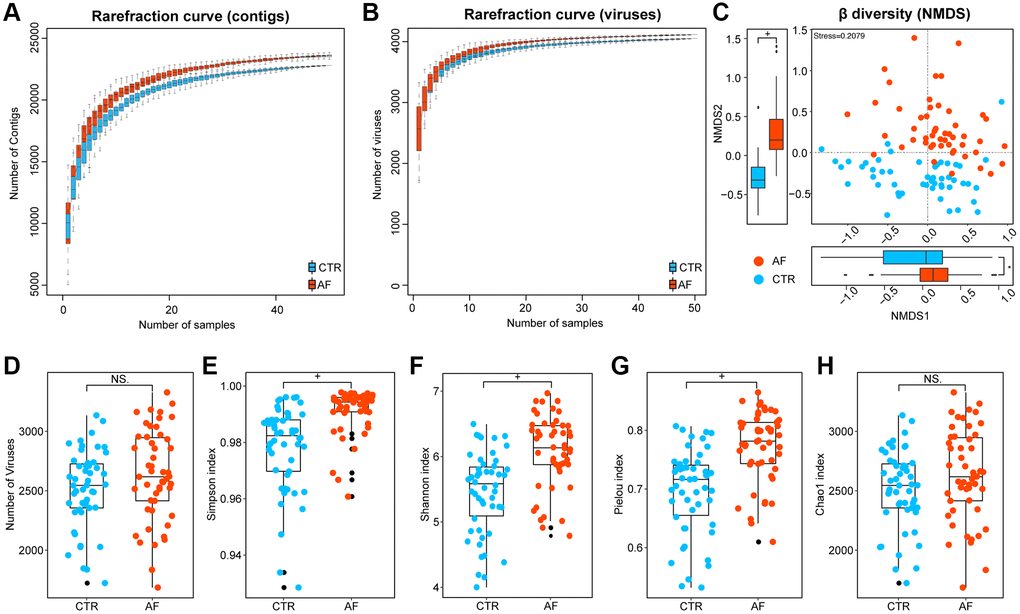 Viral diversity in AF. Rarefaction curves depicting viral contigs (A) and virus (B) numbers in control and AF specimens. Beta diversity by nonmetric dimensional scaling (NMDS) at the species level (C). Alpha diversity indexes, including the number of viruses (D), the Simpson index (E), the Shannon index (F), the Pielou index (G), and the Chao 1 index (H) at the species level in controls and AF cases. + denotes p-value *p 