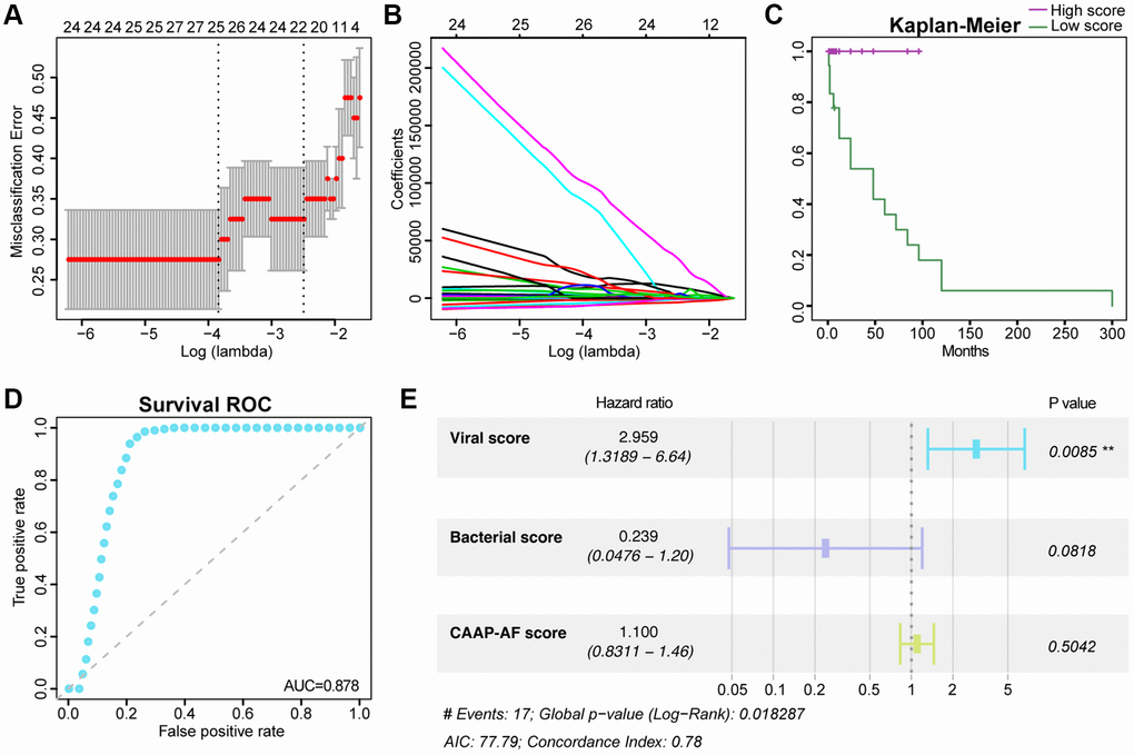 Association of the gut viral signals with the risk of recurrent AF. The tuning index (lambda) was identified utilizing the LASSO. Then, receiver operating characteristic (ROC) curve analysis was performed, and the AUC was plotted against log (lambda) (A). Dotted vertical lines represent the optimal values based on the minimum criteria and one standard error of the minimum criteria (1-SE criteria). Coefficients versus log (lambda) are shown (B). Kaplan-Meier curve analysis of overall survival based on the viral score (C). Survival ROC curves for the viral score (D). Forest plot of multivariate Cox regression analysis of virome-related risk groups and baseline patient covariates (E). Hazard ratios and 95% CIs are shown. Abbreviations: C-index: concordance index; CI: confidence interval.