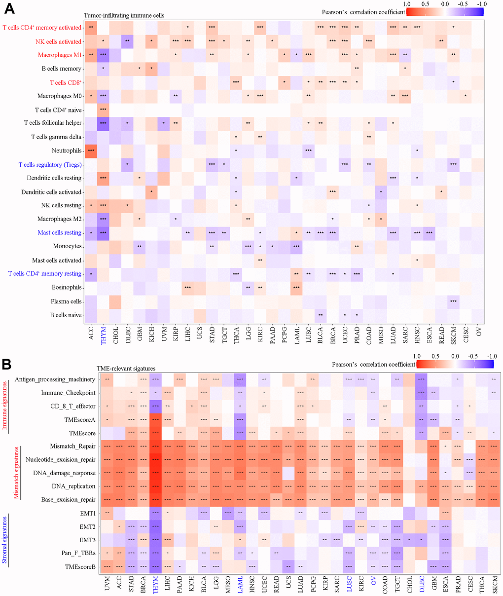 Correlation analysis of SAAL1 expression with tumor-infiltrating immune cells and TME-relevant signatures in various cancer types. (A) Tumor-infiltrating immune cells. (B) TME-relevant signatures. *P