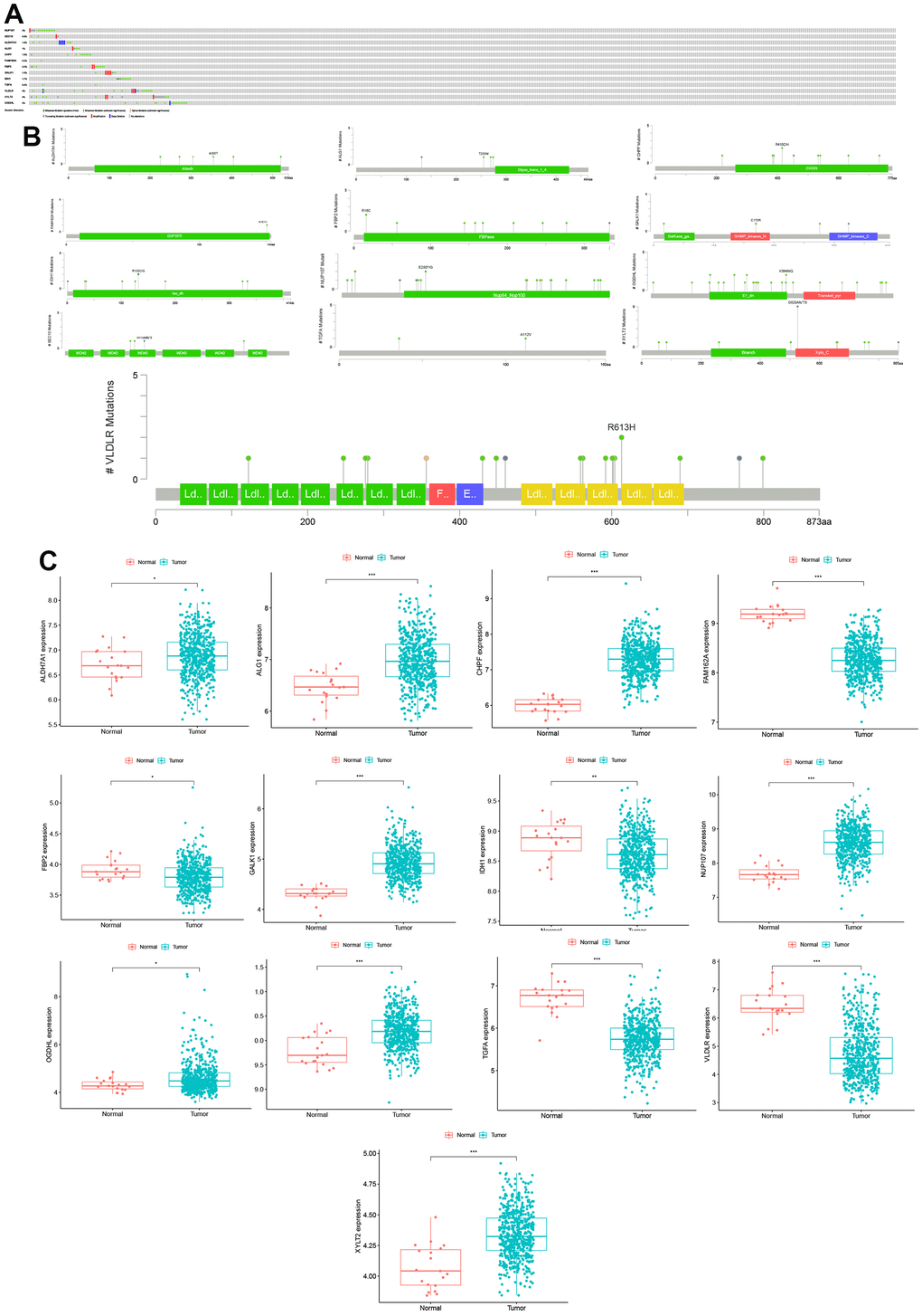 Mutations and expression levels of model genes in CC. (A) Mutation frequency of model genes. (B) Model gene-specific mutation domains. (C) Model gene expression between CC and normal control samples.