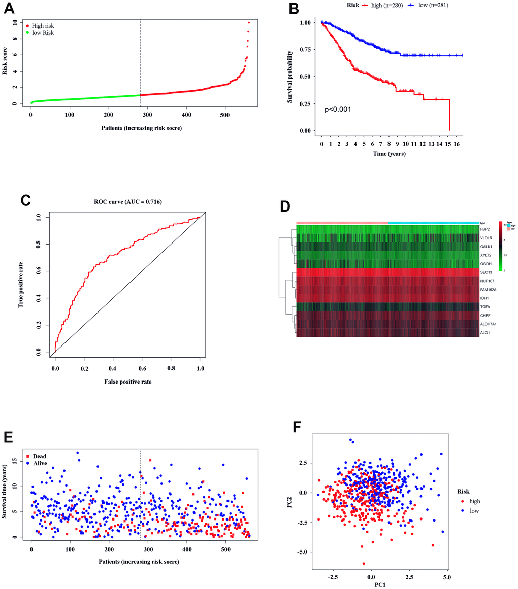 Text efficacy of the gene model in CC patients. (A) CC patient distribution according to the median risk score. (B) Kaplan–Meier analysis between the low- and high-risk groups. (C) ROC analysis of the risk score. (D) Model gene expression in the low- and high-risk groups. (E) The relationship between patient survival status and risk score. (F) PCA between the low- and high-risk groups.