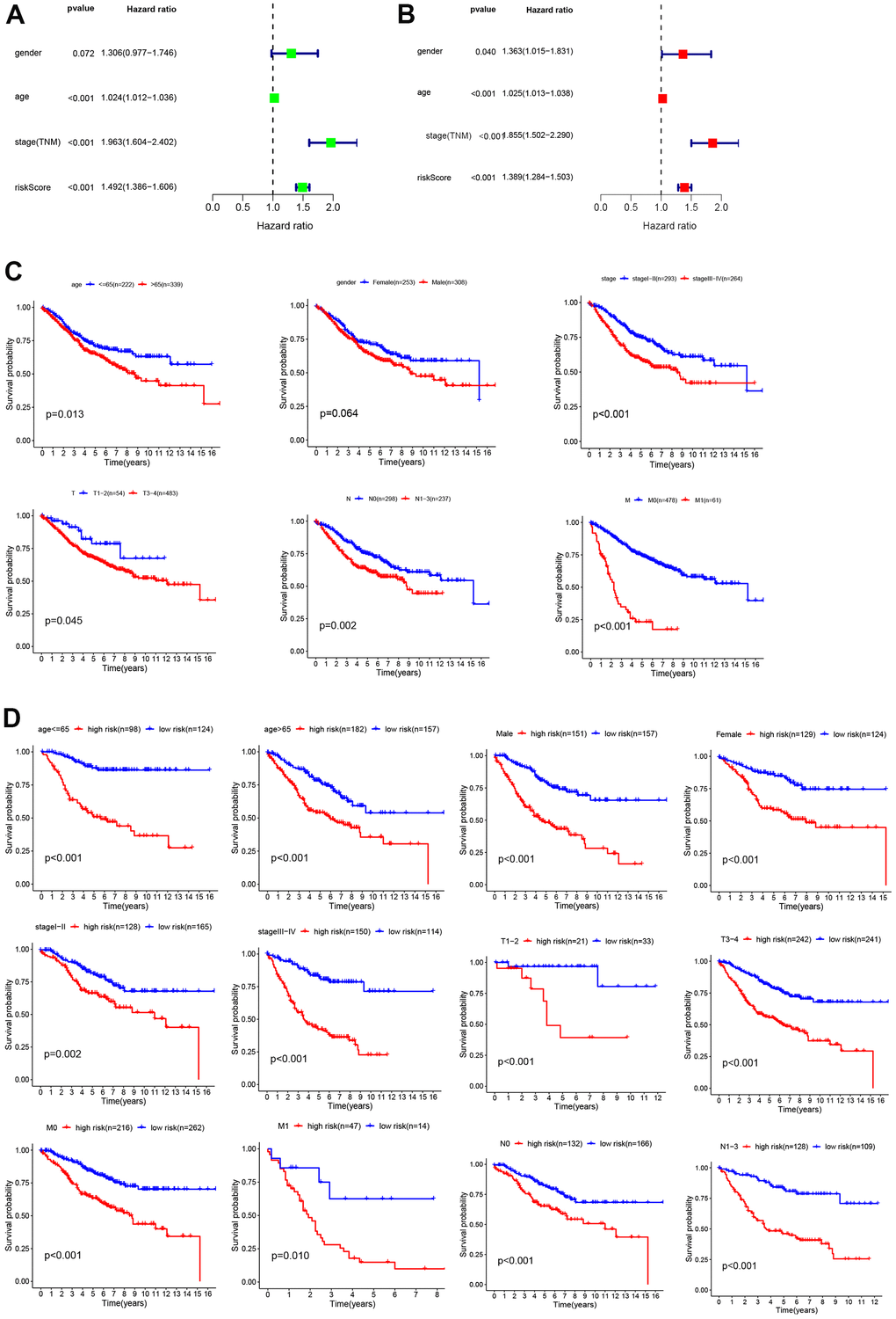 Analysis of risk factors. Univariate (A) and multivariate Cox regression analyses (B) of the relationship between risk core and other clinical features. (C) Kaplan–Meier analysis of clinical features, including age, sex, TNM stage, T stage, N stage, and M stage. (D) Kaplan–Meier analysis of clinical features in low- and high-risk subgroups.