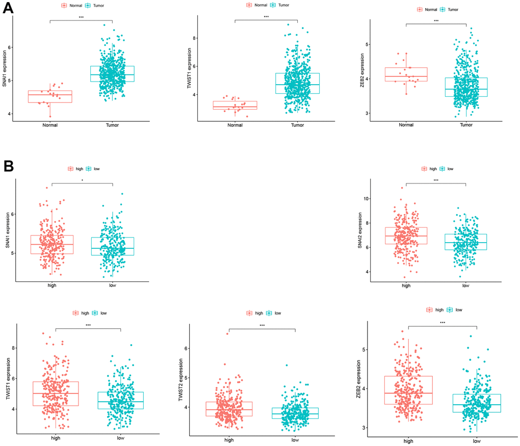 Expression of EMT biomarkers. (A) SNAI1 and TWIST1 expression in CC patients and normal controls. (B) SNAI1, SNAI2, TWIST1, TWIST2, and ZEB2 expression in the low- and high-risk groups.