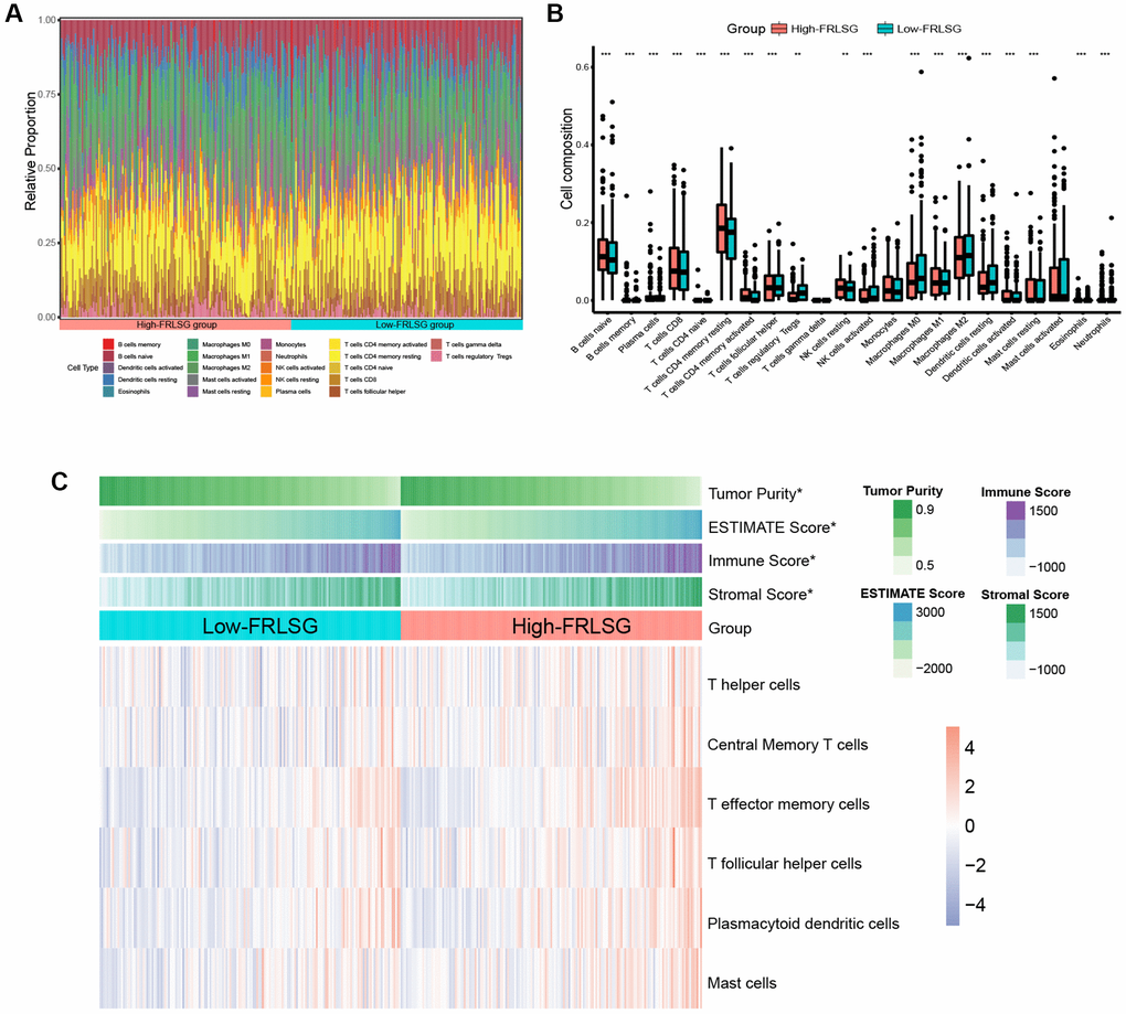 Immune infiltration analyses indicating the high immune infiltration status of high-FRLSG patients. (A) Stacked histogram demonstrated 22 different specific immune cells infiltration in each GC patient. (B) boxplot showed the difference of immune cell infiltration between the high- and low-FRLSG patients. *P **P ***P C) Heatmap illustrated the estimated scores of immune signatures calculated by ssGSEA and ESTIMATE algorism in the high- and low-FRLSG patients.