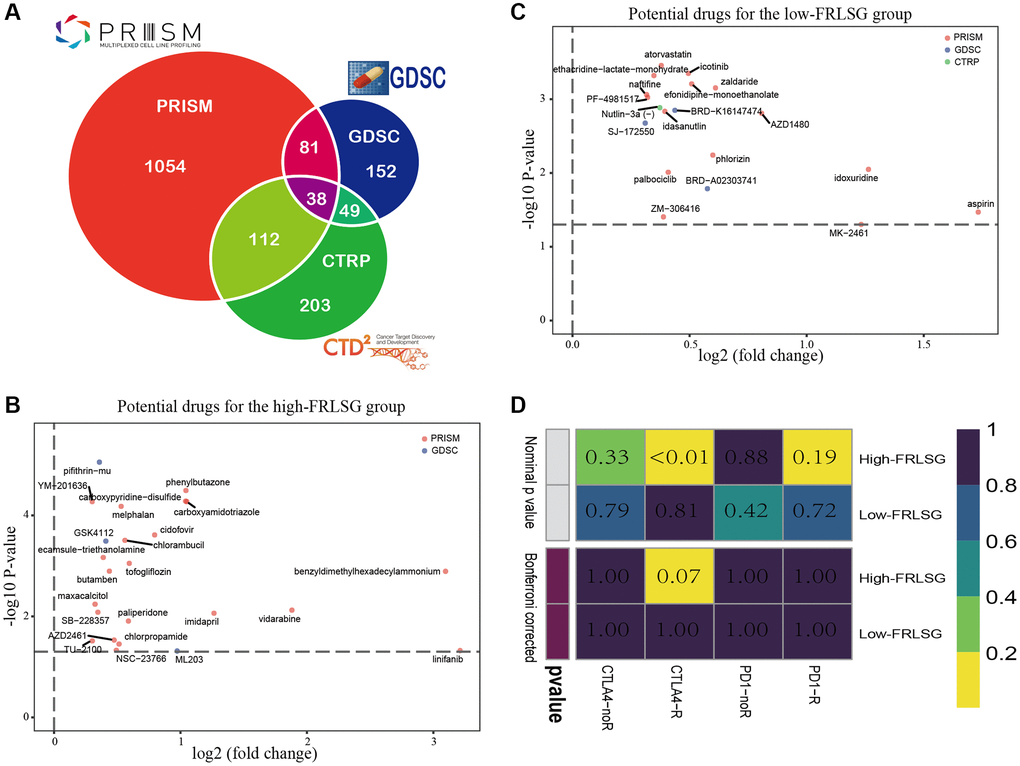 Drug prediction and immunotherapy prediction uncover potential clinical treatment associated with FRLSG. (A) Venn plot for summarizing available compounds in CTRP, GDSC and PRISM projects. (B) Scatter diagram demonstrating candidate drugs with potential therapeutic effect for (B) high-FRLSG patients and (C) low-FRLSG patients (D) Prediction of the response to anti-PD-1 therapy and anti-CTLA4 therapy for the high- and low-FRLSG GC patients.