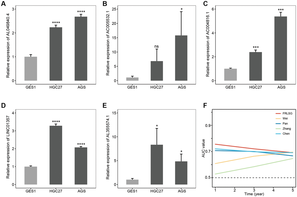 Experimental validation and parallel comparison of FRLSG. The expression level of (A) AL049840.4, (B) AC005532.1, (C) AC004816.1, (D) LINC01357, (E) AL355574.1 in the GES1, HGC27 and AGS. *P **P ***P ****P F) Time-dependent AUC for the comparison of FRLSG with other four previously published ferroptosis-related lncRNAs signatures for GC.