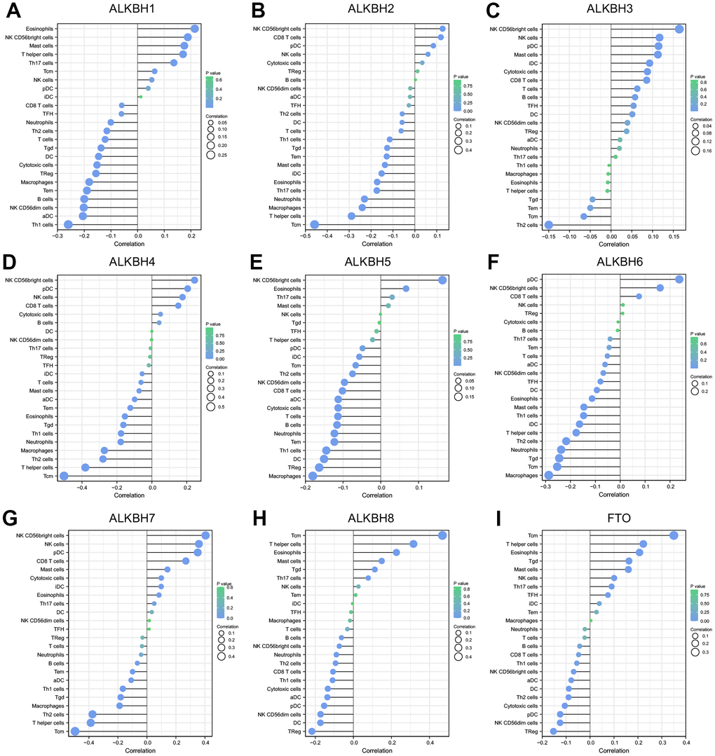 The correlation between the infiltration levels of various immune cells and the expression of ALKBH members including (A–I) ALKBH1-8 and FTO.