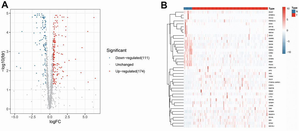 The differentially expressed RNA-binding proteins from TCGA. (A) Volcano plot; (B) Heat map.