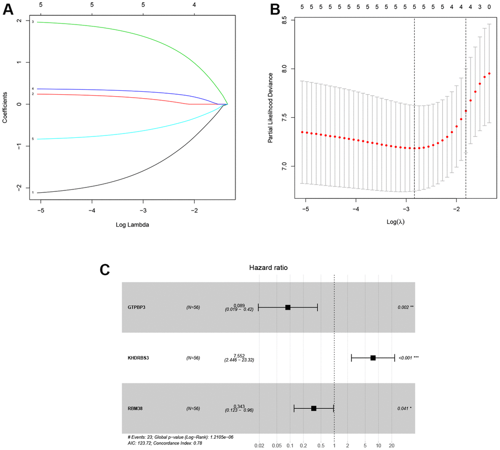 Identification of prognosis-related DERBPs associated with laryngeal squamous cell carcinoma. (A, B) LASSO coefficient profiles of DERBPs selected by univariate Cox regression analysis; (C) Forest plot of multivariate Cox regression analysis.