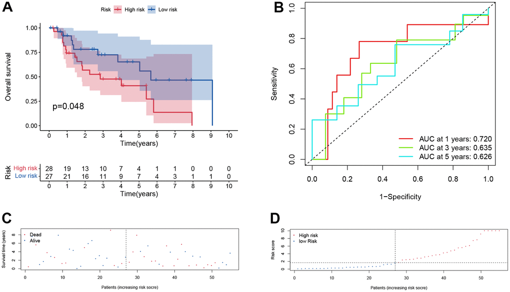 Prognostic assessment of the transcriptomic signature in training cohort in test cohort. (A) Kaplan-Meir (KM) survival curves; (B) Receiver operating characteristic curves; (C, D) Risk score distribution and survival status.