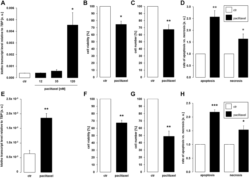 Paclitaxel induces αklotho expression in MDCK and NRK-52E cells. (A) Arithmetic mean ± SEM of αklotho transcript levels normalized to TBP in MDCK cells treated with paclitaxel at the indicated concentration for 24 h (n = 5; Friedman ANOVA and Dunn-Bonferroni post-hoc test). (B, C) Arithmetic mean ± SEM of MDCK cell viability (B) or number (C) upon treatment without or with 120 nM paclitaxel for 24 h (B: n = 4, one-sample t-test; C: n = 5, one-sample t-test). (D) Rate of apoptosis and necrosis of MDCK cells treated with 120 nM paclitaxel or vehicle control for 24 h (n = 6, one-sample t test). (E) Arithmetic mean ± SEM of αklotho transcript levels relative to TBP in NRK-52E cells incubated without or with 120 nM paclitaxel for 24 h (n = 5, paired t-test). (F, G) Arithmetic mean ± SEM of NRK-52E cell viability (F) or number (G) upon treatment without or with 120 nM paclitaxel for 24 h (F: n = 5, one-sample t-test; G: n = 5, one-sample t-test). (H) Rate of apoptosis and necrosis of NRK-52E cells treated with or without 120 μM paclitaxel for 24 h (n = 5, one-sample t test). *p **p ***p 