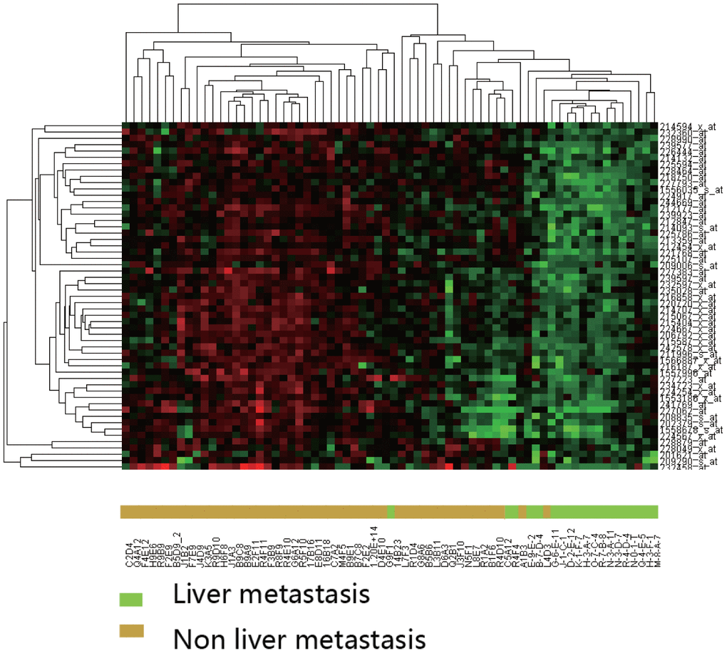 Hierarchical clustering analysis of differentially expressed genes between CRC with and without liver metastasis. Clustering was performed using the Pearson correlation with average linkages. Expression intensities are shown after gene and sample normalization.