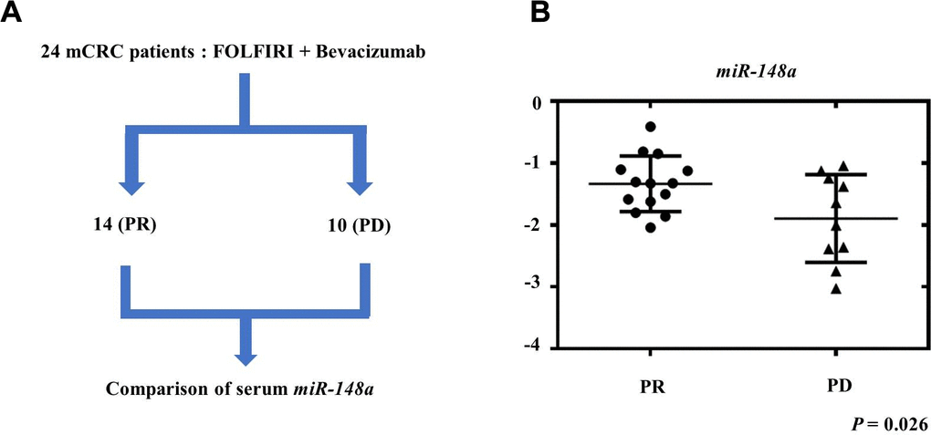 Relationship between therapeutic response and serum miR-148a expression in mCRC patients. We collected the serum samples of 24 mCRC patients before they received treatment with bevacizumab plus FOLFIRI as first-line regimen. (A) After treatment, 14 patients showed partial response (PR) and 10 patients had progressive disease (PD). (B) miR-148a expression was significantly higher in the serum samples of the 14 PR patients than in those of the 10 PD patients (P = 0.026).