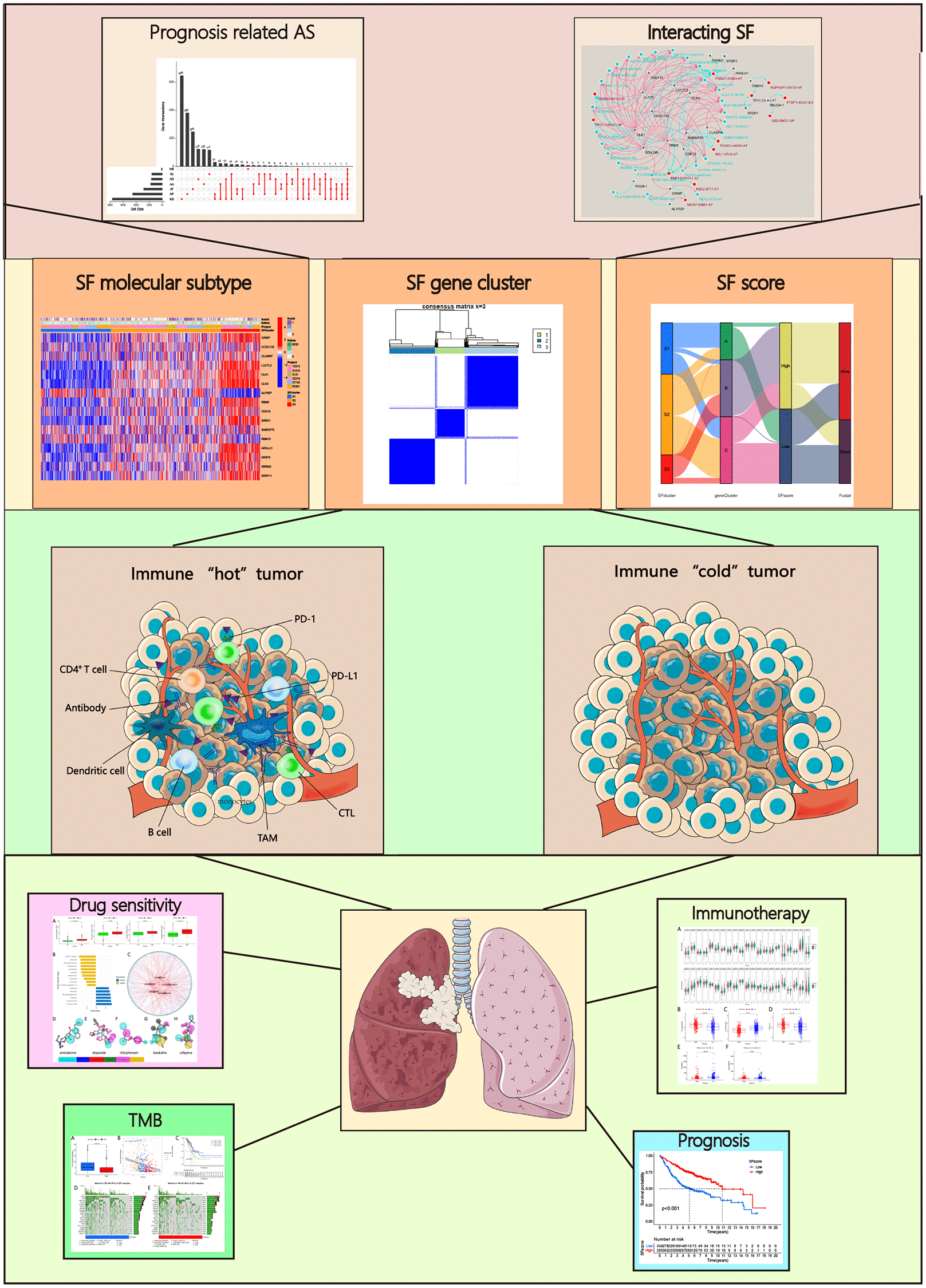 class="figure-viewer-img"