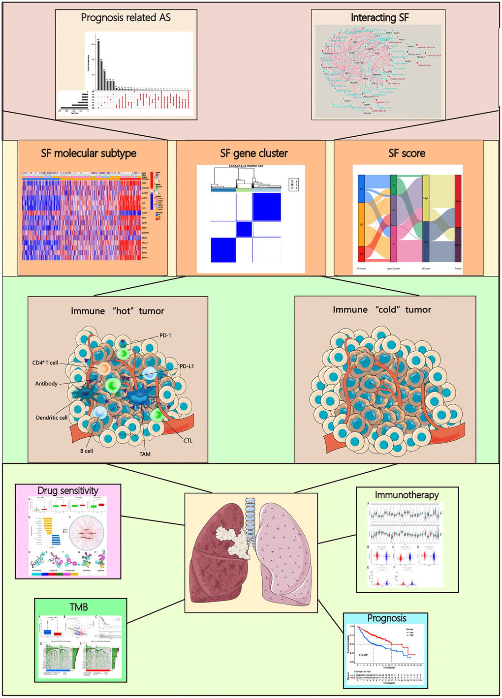 Prognostic alternative splicing events related splicing factors