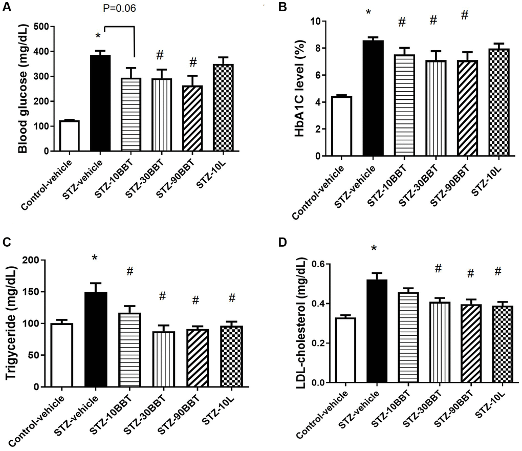 BBT-877 attenuates hyperglycemia and dyslipidemia in STZ-induced diabetic mice. After mice were administered BBT-877 for 8 weeks, measurements were taken for (A) blood glucose, (B) HbA1c, (C) Triglyceride, and (D) LDL-cholesterol. Abbreviations: STZ: streptozotocin; HbA1c: glycosylated hemoglobin. STZ-10BBT: BBT-877 10 mg/kg, STZ-30BBT: BBT-877 30 mg/kg, STZ-90BBT: BBT-877 90 mg/kg, STZ-10L: losartan 10 mg/kg. *p #p n = 8−10.