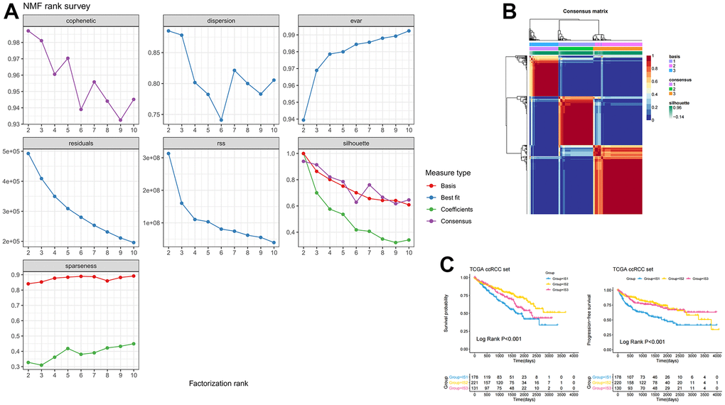 Identification of three distinct immune-related molecular subtypes of ccRCC in the TCGA-ccRCC dataset by NMF. (A) Cumulative distribution function curve and (B) delta area of immune-related genes in the ICGC cohort. (C) Kaplan-Meier curves showing OS and PFS of ccRCC immune subtypes in the TCGA cohort.