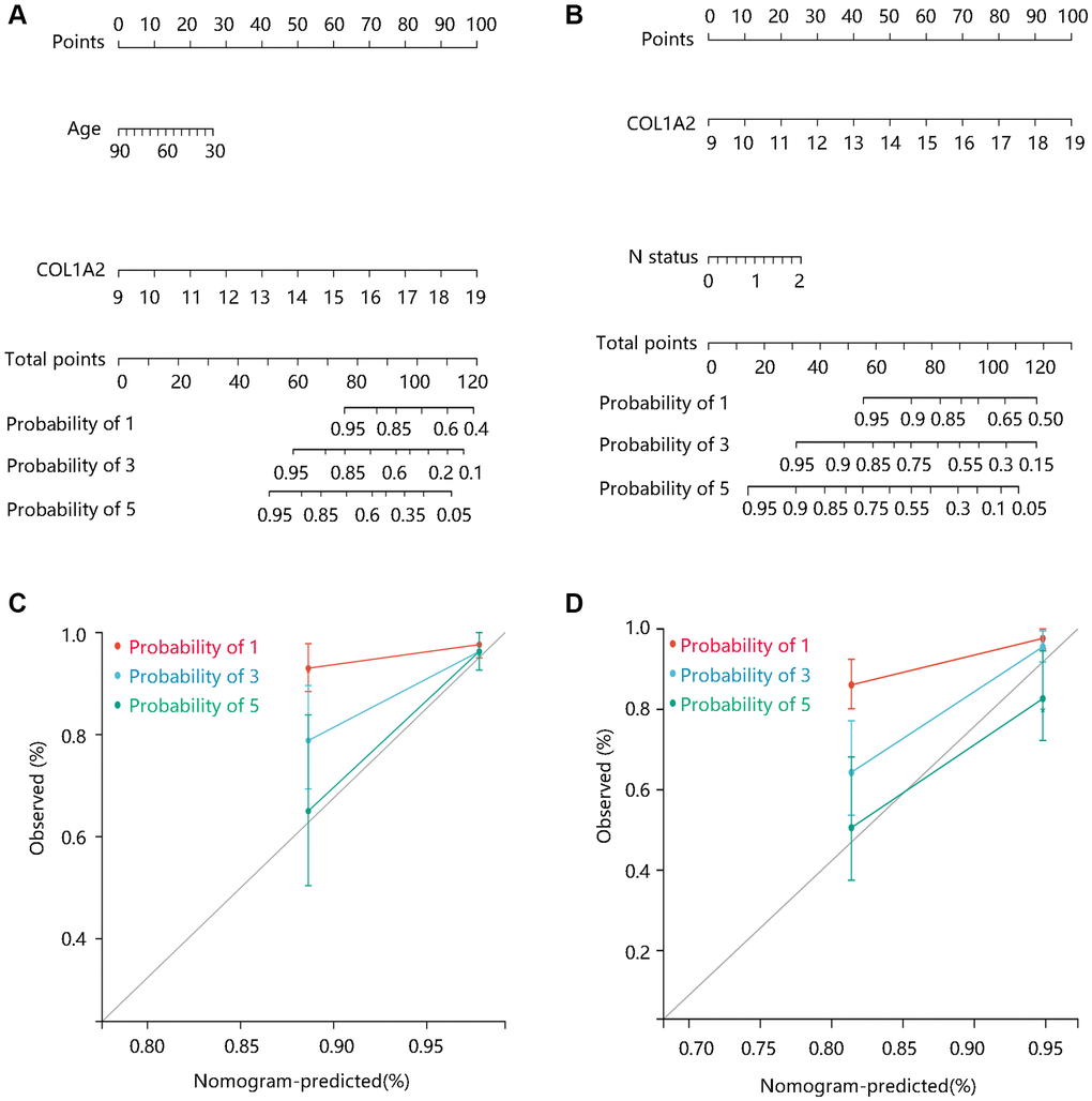 The construction and evaluation of nomogram models. Nomogram models based on Cox regression analysis results in terms of (A) DSS, and (B) OS. The calibration curves for the (C) DSS nomogram model and (D) OS nomogram model. Abbreviations: DSS: disease-specific survival; OS: overall survival.