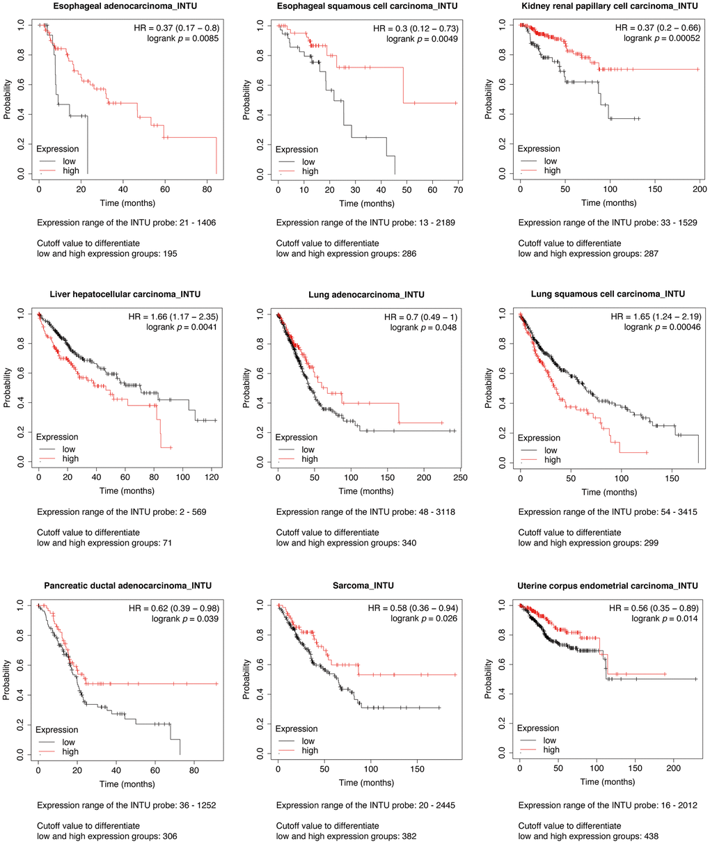 Evaluation of the prognostic significance of INTU mRNA level in different cancer types. Pan-cancer survival analysis was carried out to determine the relationship between INTU mRNA level and OS probabilities in 21 different types of cancer. Decreased INTU expression was found associated with poor prognosis in EAC, ESCC, KIRP, LUAD, PDAC, SARC and UCEC patients, whilst high level of INTU correlated with poor prognosis in LIHC and LUSC patients.