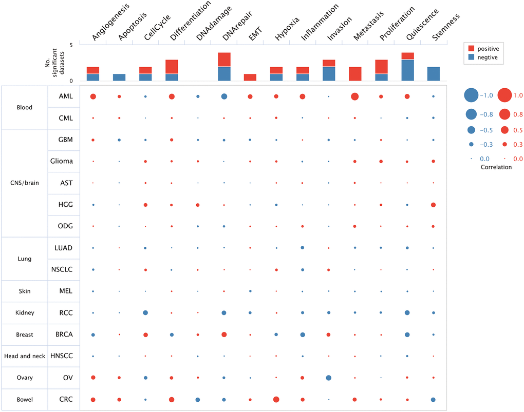 The function of HSF1 was analyzed at single–cell level based on the CancerSEA database.