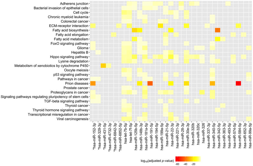 Heatmap of KEGG pathways targeted by 33 plasma miRNAs associated with trajectory of MMSE scores. MiRNA gene targets were identified using TarBase v7.0. Inset shows the log10(FDR q-value). MMSE: Mini-Mental State Examination. *For these miRNAs, predicted gene targets identified using microT-CDS v.5 were used as input to the KEGG analysis.