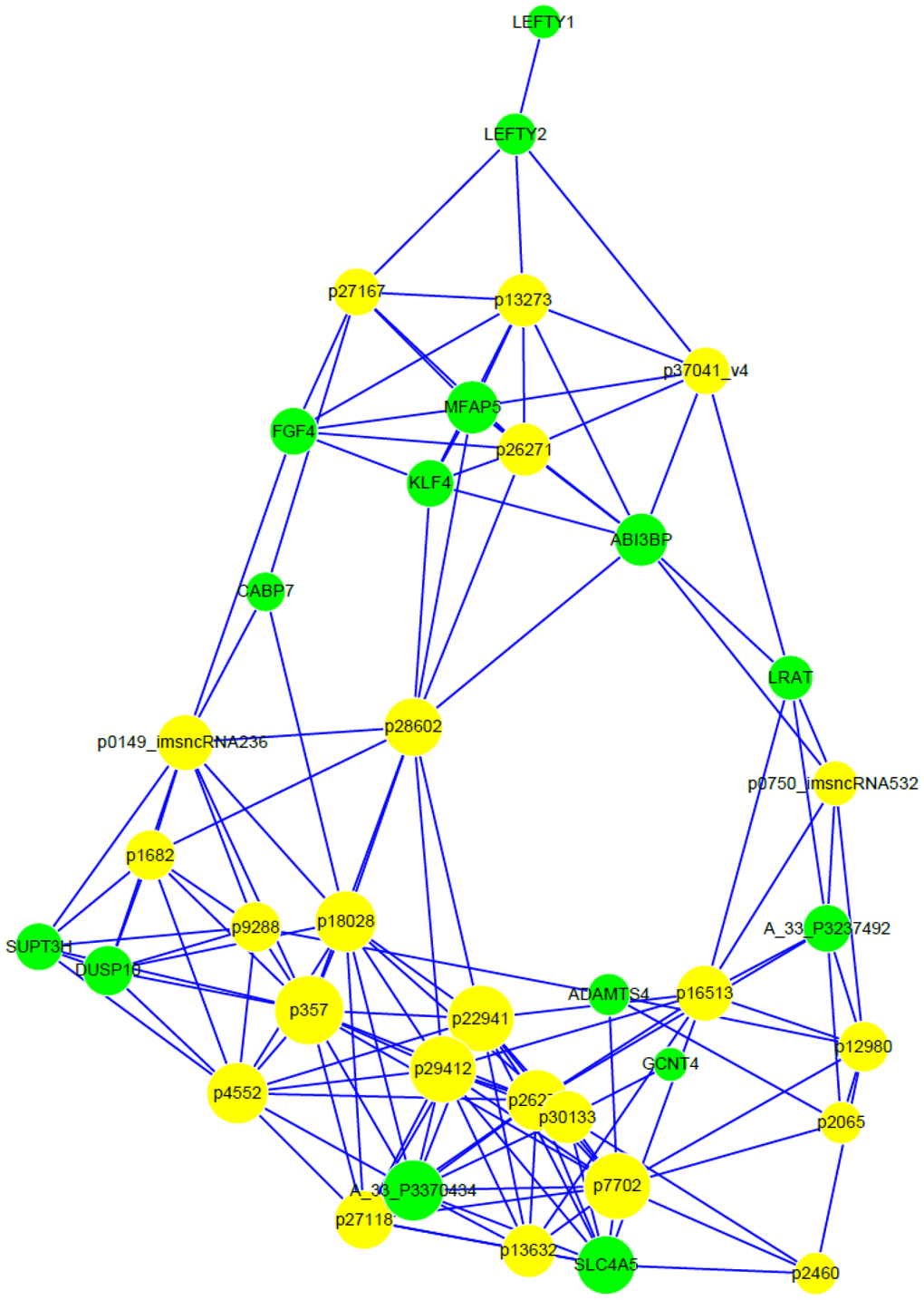 Correlated expression networks of differentially-expressed lncRNA and genes. Co-expression networks were constructed with differentially-expressed lncRNA and genes from 3 paired hESC lines in a feeder-free culture system vs on human foreskin fibroblast feeder layers. Pearson’s correlation > 0.99 or P 