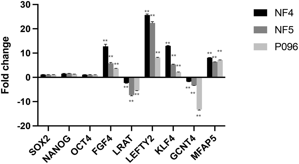 Validation of gene-relative changes through real-time RT-PCR. Fold changes of the gene expression in 3-line hESCs (NF4, NF5, P096) were calculated in a feeder-free culture system vs on human foreskin fibroblast feeder layers. Data was presented as mean values ± SD (n=3). The significant level was determined as PP 