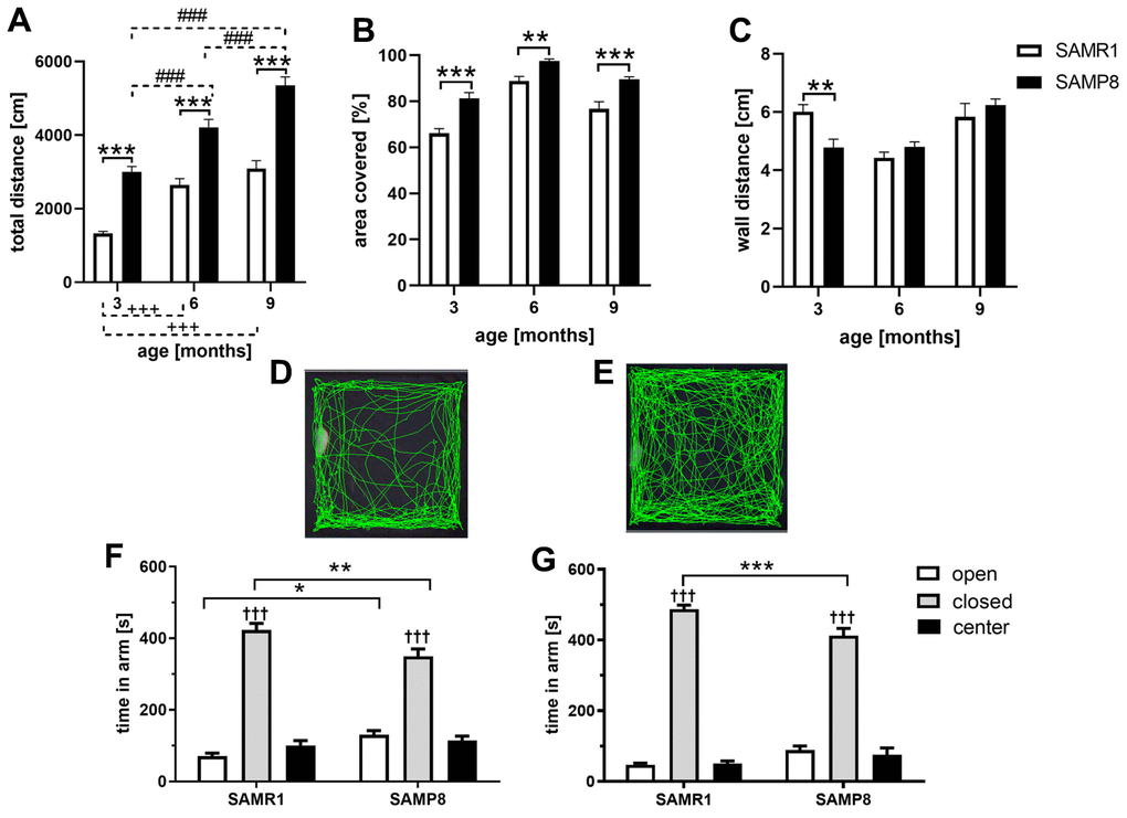 Increased activity measured by open field (A–E) and decreased anxiety measured by elevated plus maze (F, G) of SAMP8 mice. Mice spent 10 minutes in open field where the: (A) total distance (B) covered area (C) wall distance were measured. The representative tracks of 6 months old (D) SAMR1 mice (E) SAMP8 mice. Mice spent 10 minutes in elevated plus maze: (F) 6 months old mice (G) 9 months old mice. Data are mean ± SEM, analyzed by 2-way ANOVA, repeated measures, with Bonferroni post test. Significance is *P † compared closed arm to open arm. n = 12 (3 months old), 10 (6 months old) or 5 (9 months old) mice per group.