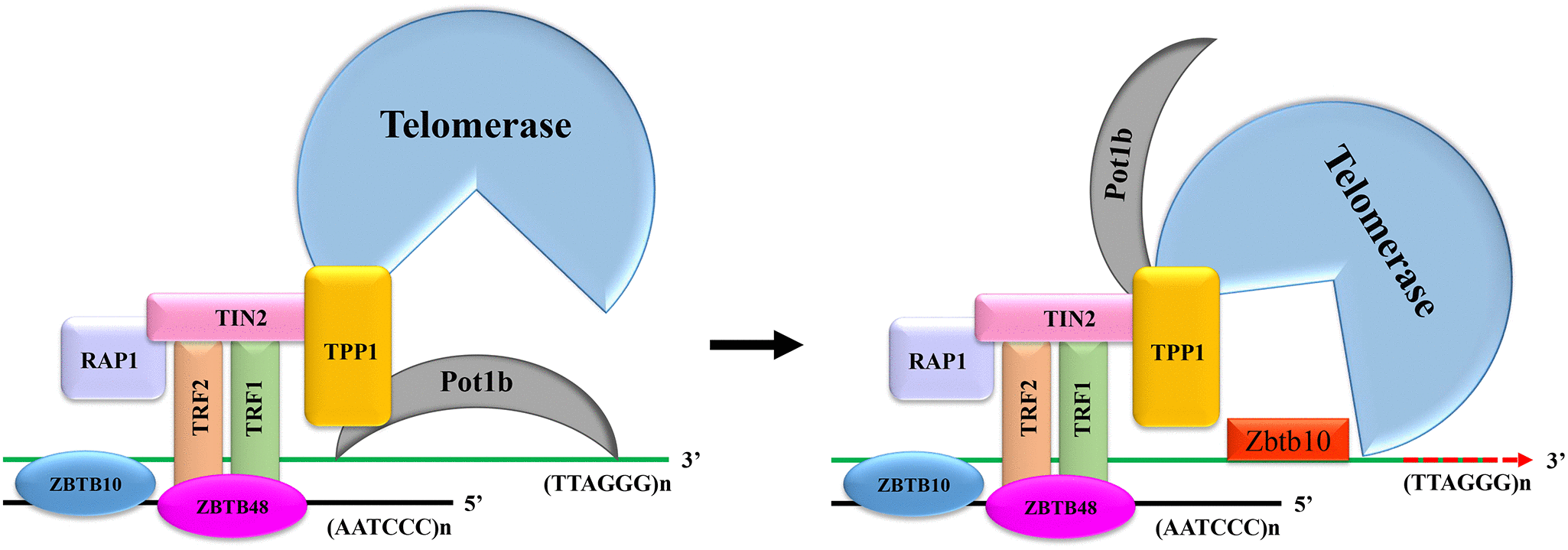 class="figure-viewer-img"