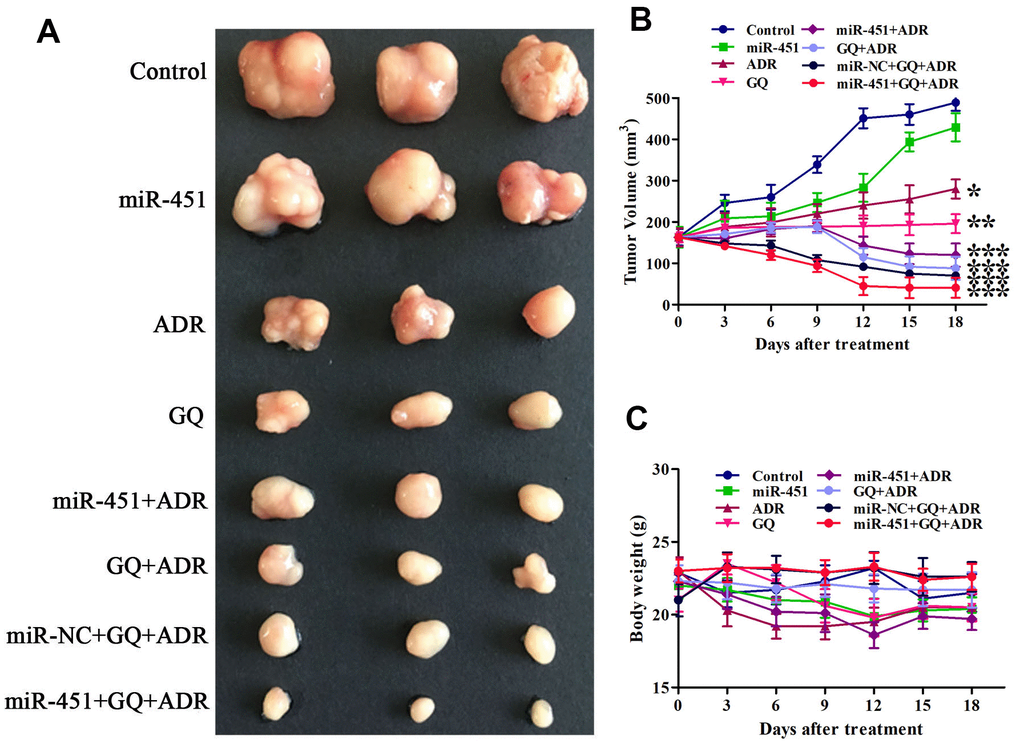 GQ and miR-451 enhanced the inhibitory effect of ADR on tumor growth in mice. Tumor-bearing mice were treated with ADR (3 mg/kg) or the complex of miR-451 (0.55 mg/kg) and liposome CDO14 (1.5 mg/kg) via tail vein injection, or treated with GQ (18 mg/kg) by gavage for 6 times at an interval of 3 days. (A) Tumors removed from the mice after treatment. (B) Volume of tumor in mice during the treatment. (C) Body weight of mice during the treatment. All data represent the means ± SD, n=3. *P **P ***P  0.001, comparing with control group.