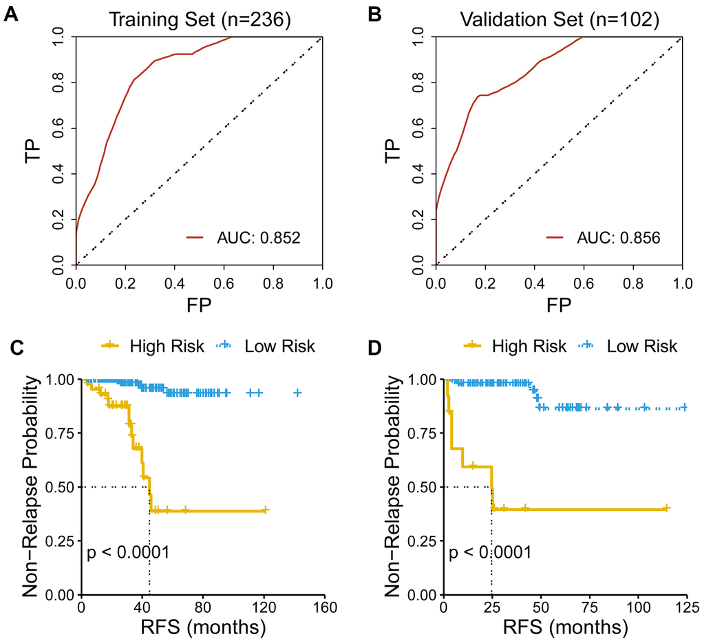 Evaluation of the performance of the gene signature. (A) AUC for predicting three-year RFS is 0.852 in the training set (n=236). (B) AUC for predicting three-year RFS is 0.856 in the validation set (n=102). (C) Low-risk patients had an improved RFS than high-risk patients in the training set. (D) Low-risk patients had an improved RFS than high-risk patients in the validation set.