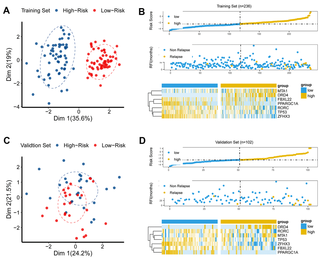 The discriminative power of the CR-related signature. (A) Principle component analysis (PCA) demonstrated that low-risk group was apparently distinct from high-risk group in Dim 1 in the training set. (B) As risk score increased, chance of tumor recurrence increased in the training set. (C) Principle component analysis (PCA) showed that the low-risk group was apparently distinct from the high-risk group in Dim 1 in the validation set. (D) As risk score increased, chance of tumor recurrence increased in the validation set.