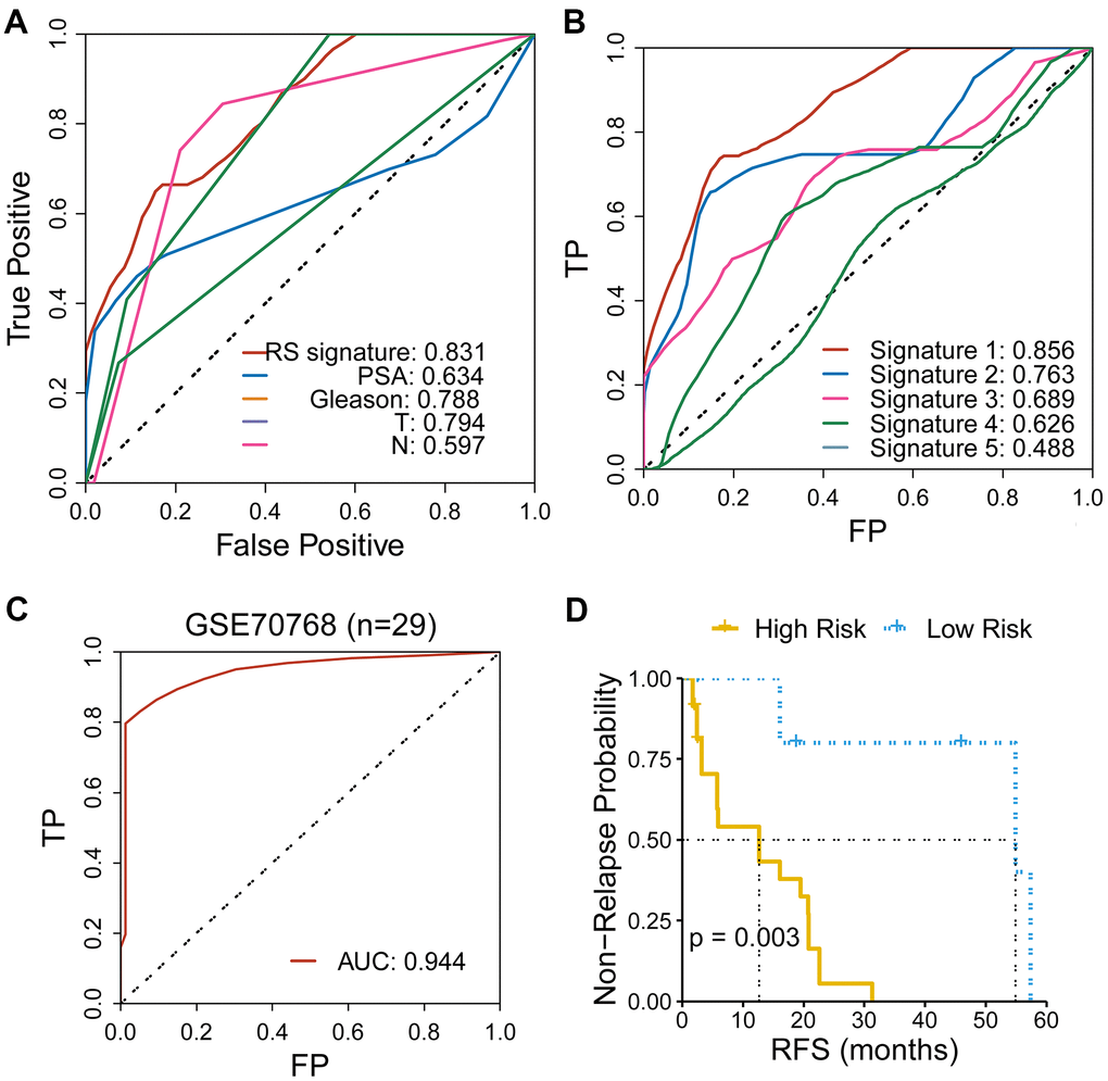 Comparison of the CR-related gene signature with other indicators for RFS in PRAD. (A) CR-related gene signature showed an improved predictive performance than other clinical indicators, with an AUC of 0.831. (B) CR-related gene signature (Signature 1) showed an improved predictive performance than other four reported gene signatures. (C) CR-related gene signature also showed an ideal predictive performance in an independent cohort of PRAD (GSE70768), with an AUC of 0.944. (D) Low-risk group had an improved RFS than high-risk group in an independent cohort of PRAD (GSE70768) (with a cutoff point of median value; log-rank test, P = 0.003).