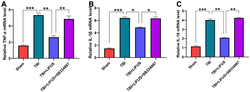 Relative mRNA levels. (A) tumor necrosis factor-a (TNF-a), (B) interleukin-1β (IL-1β), (C) interleukin-18 (IL-18). Results are expressed as mean ± standard deviation (n=6, SD; *P 