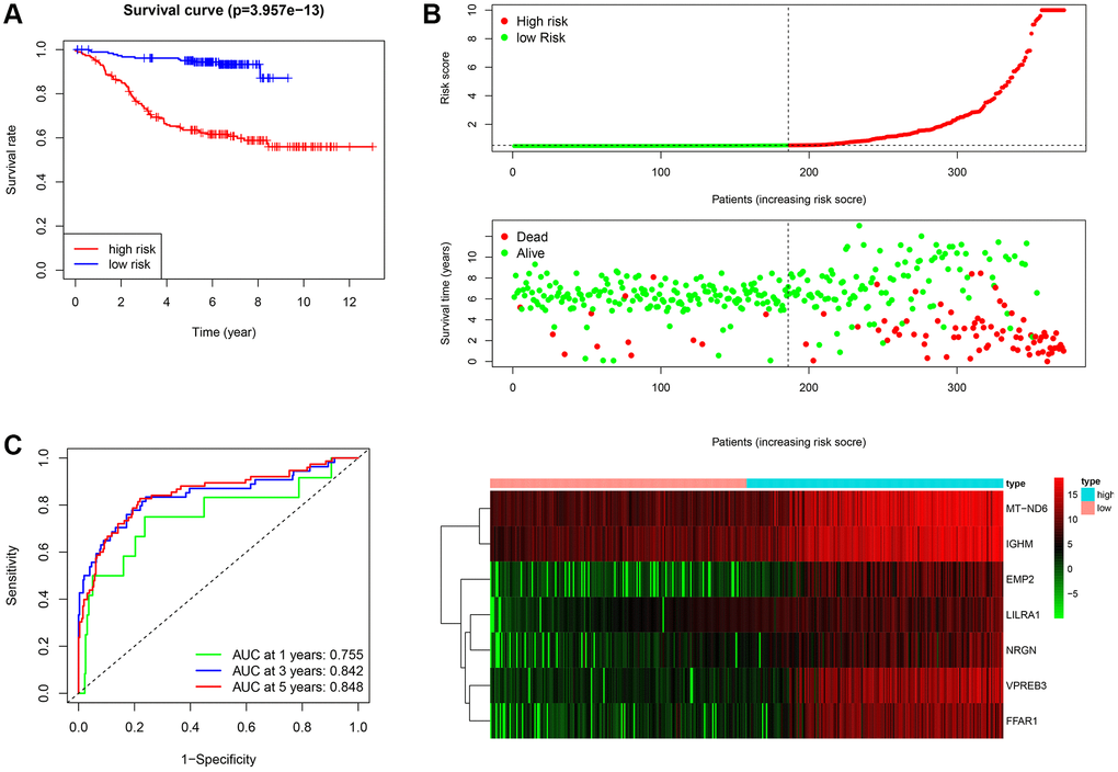 Assessment of the prognostic value of the ISCIRG signature in training group. (A) KM survival curve for high-risk and low-risk patients. (B) Risk score analysis for the high-risk group and low-risk group. Upper panel: Patient survival status and time distributed by the risk score. Middle panel: Risk score curves of the ISCIRG signature. Bottom panel: Heatmaps of the expression levels of the seven ISCIRGs. The colors from green to red indicate the gene expression levels from low to high. (C) Time-dependent ROC curve for 1-, 3-, and 5-year OS rates.