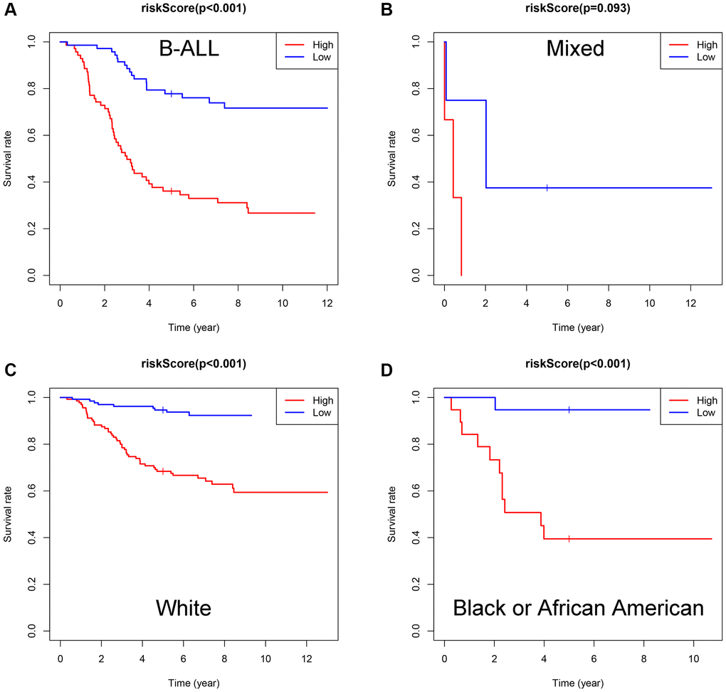 Evaluation of the ISCIRGs-based signature via stratification of patients based on specific clinicopathological features. (A) B-ALL. (B) Mixed. (C) White. (D) Black or African American.