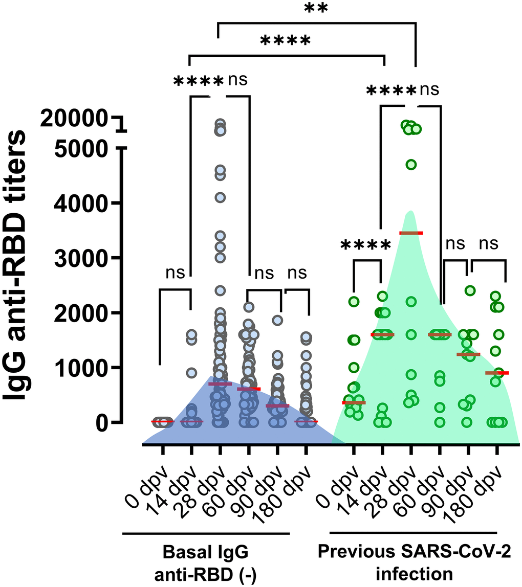 Anti-RBD titers elicited in individuals with or without positives serology at baseline. Antibodies titers in the studied population grouped according to documented absence or presence of previous SARS-CoV-2 infection (defined by positive RT-qPCR, rapid antigen test, or basal anti-RBD titer). Horizontal red lines represent the median. Statistical analyses were performed with Mann-Withney test.