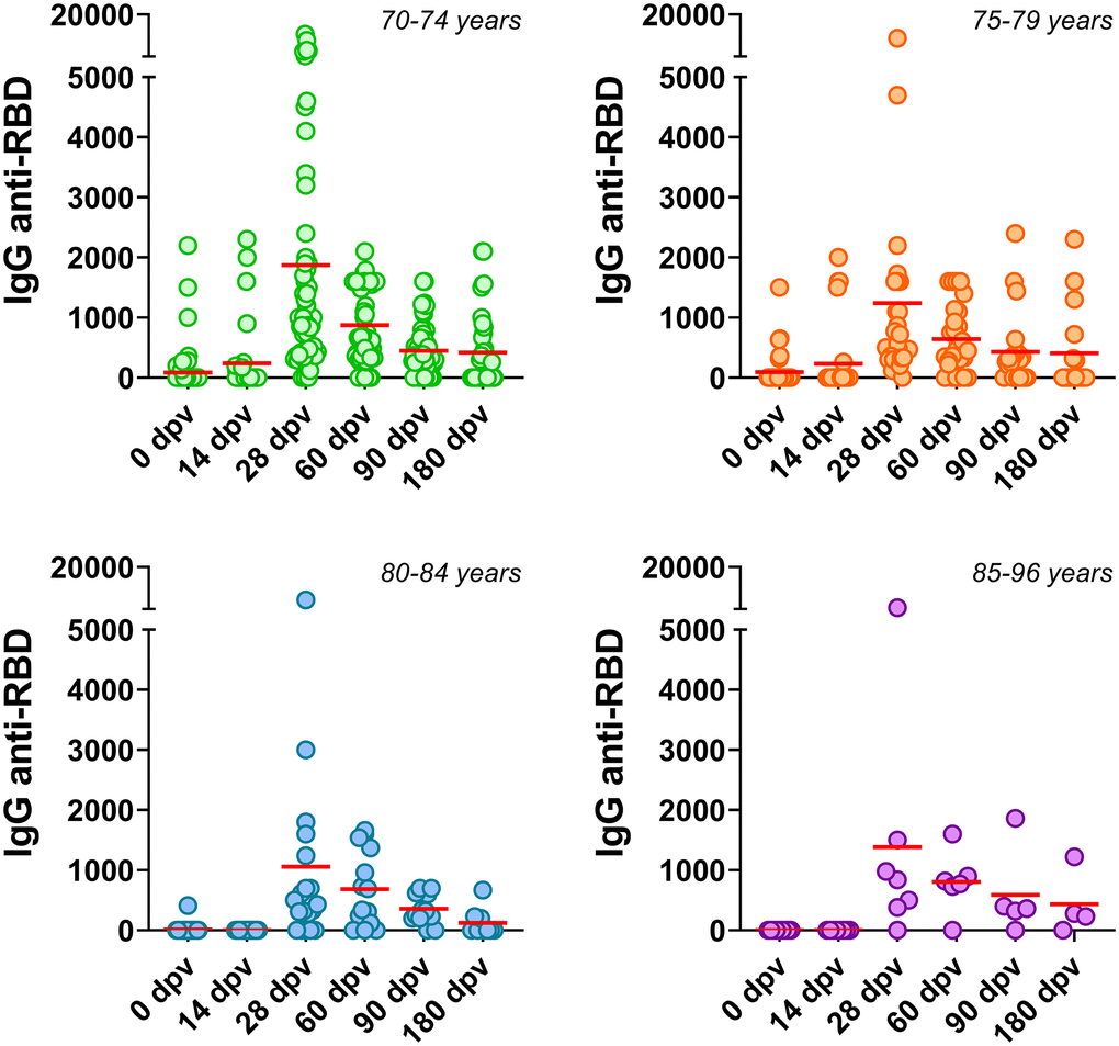 Anti-SARS-CoV-2 humoral immune responses in different age subgroups. Serum IgG anti-RBD of the SARS-CoV-2 were determined at several times post Gam-COVID-Vac in individuals classified into the following age subgroups: 70-74, 75-79, 80-84 and 85-96 years old. Horizontal red lines represent the median.
