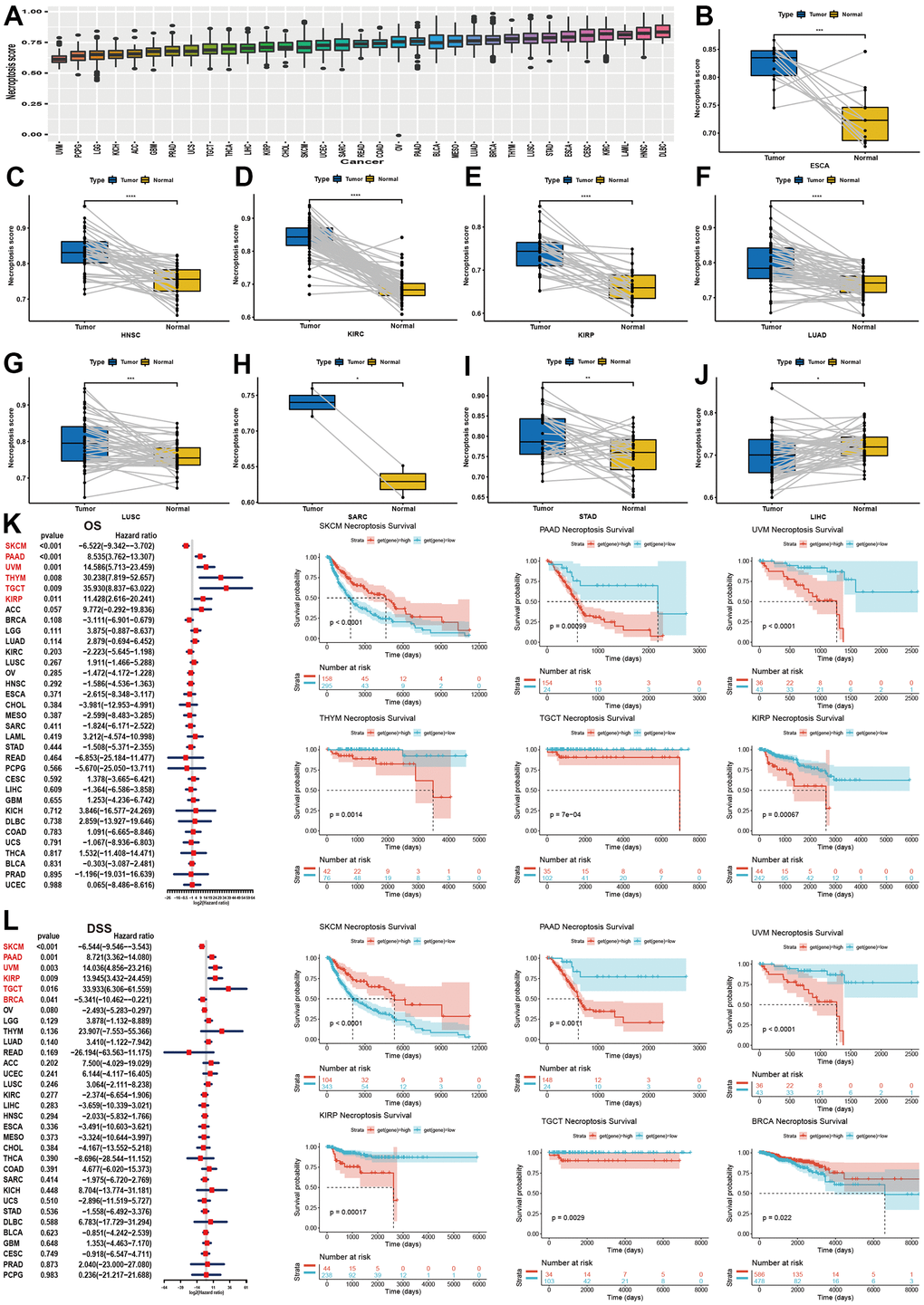 Establishment of NPS and its clinical relevance in pan-cancer. (A) Expression level of NPS in pan-cancer. (B–J) Significant expression levels of NPS between tumor and normal samples (HNSC, KIRC, KIRP, LUAD, LUSC, SARC, STAD, LIHC). (K) Association between NPS and overall survival in pan-caner using univariate cox regression (Left) and log-rank method (Right). (L) Association between NPS and disease-specific survival in pan-caner using univariate cox regression (Left) and log-rank method (Right).