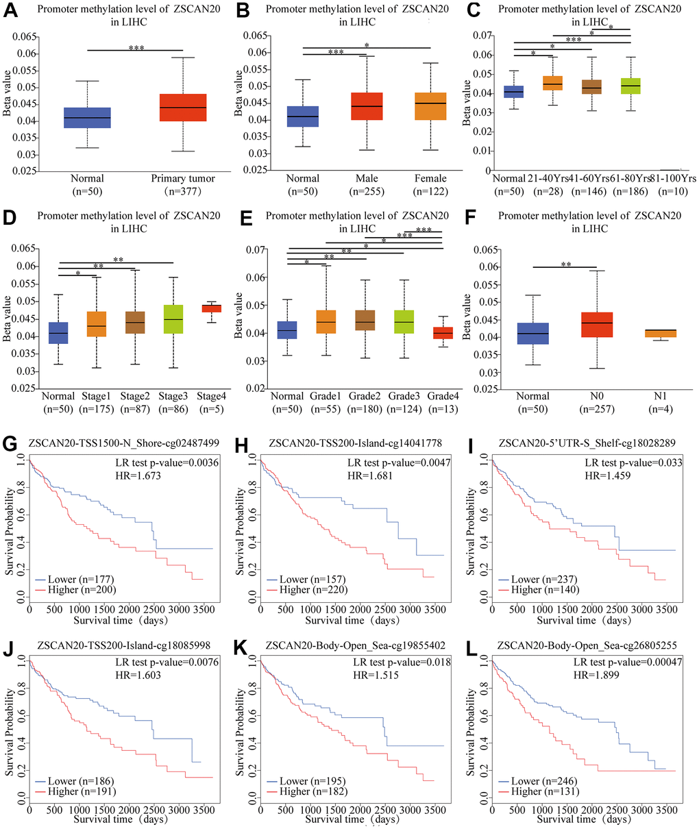 Correlation between ZSCAN20 promoter methylation level and prognostic value of DNA methylation in HCC. (A) normal vs primary tumor, (B) gender, (C) age, (D) cancer stage, (E) tumor grade, (F) lymph node metastasis status; *P P P G), cg14041778 (H), cg18028289 (I), cg18085998 (J), cg19855402 (K) and cg26805255 (L) correlated with worse OS.