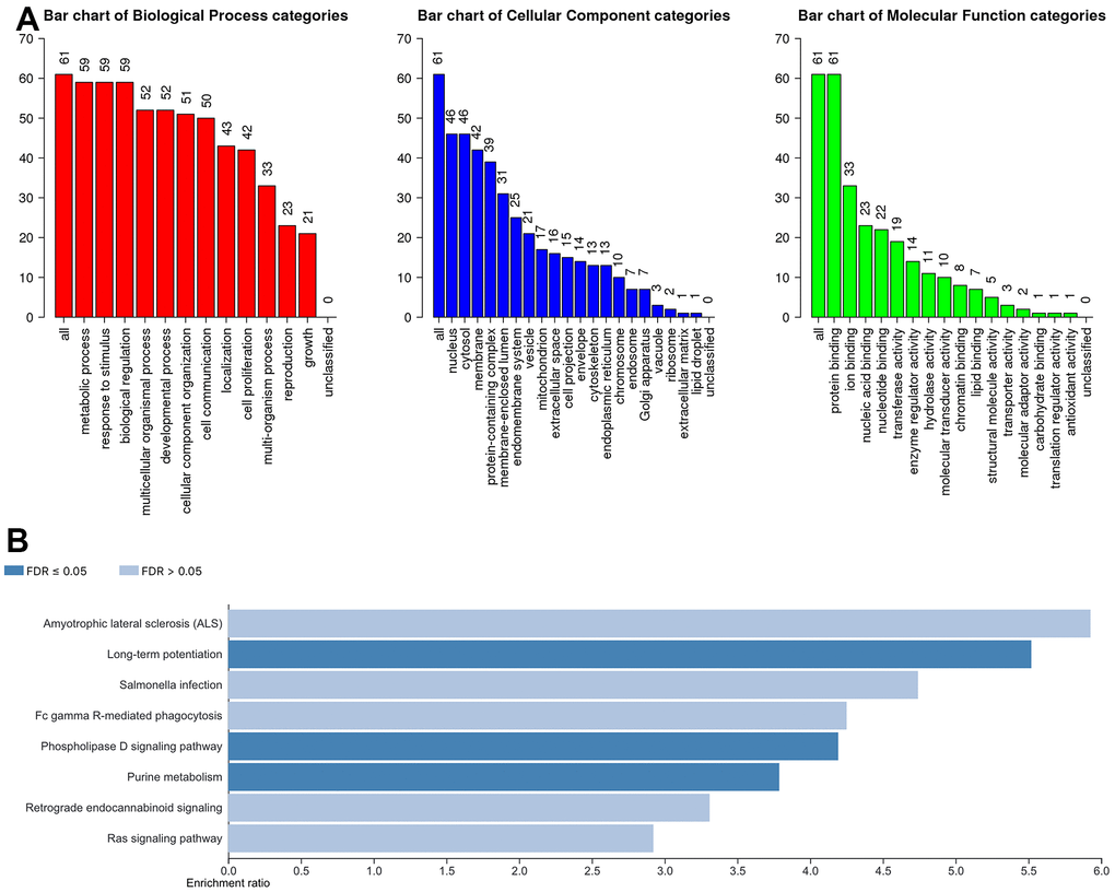 The biological pathways of the ACSF gene family were evaluated by the WebGestalt database. (A) Bar plot of GO enrichment in cellular components, biological processes, and molecular functions. (B) The bar plot of KEGG enrichment.