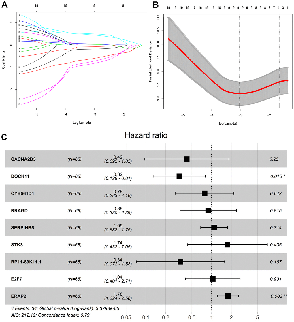 Lasso regression screening survival model variables. (A) Variable coefficient corresponding to the model with different number of variables. (B) 1000 models obtained through ten-fold cross validation. (C) Risk coefficient and P value of corresponding genes in multivariate Cox proportional risk regression model.